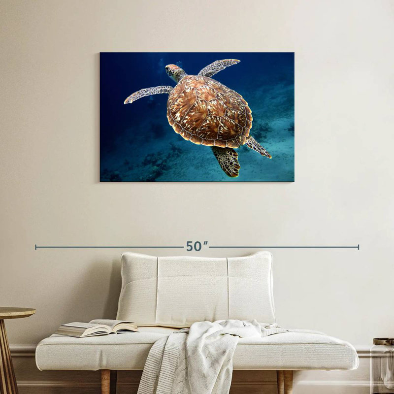Brampt Swimming Turtle, 24" H x 36" W