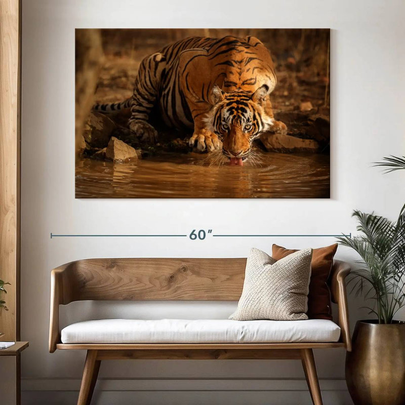 Brampt Drinking Wild Tiger, 34" H x 51" W