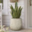 Pot de fleurs en ciment beige vieilli de 38,6 cm de haut, orné d'un motif géométrique en relief en forme de soleil, style rustique moderne avec trou de drainage.