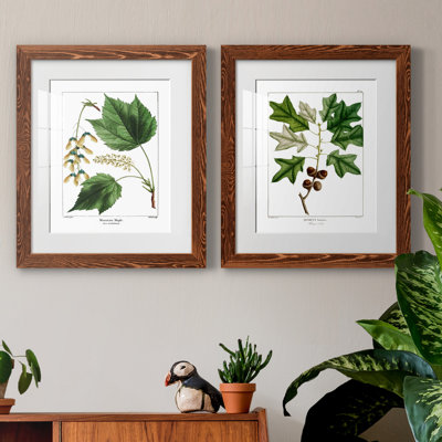 " Mountain Maple " 2 - Pieces