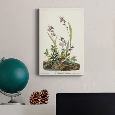 " Pl. 139 Field Sparrow "