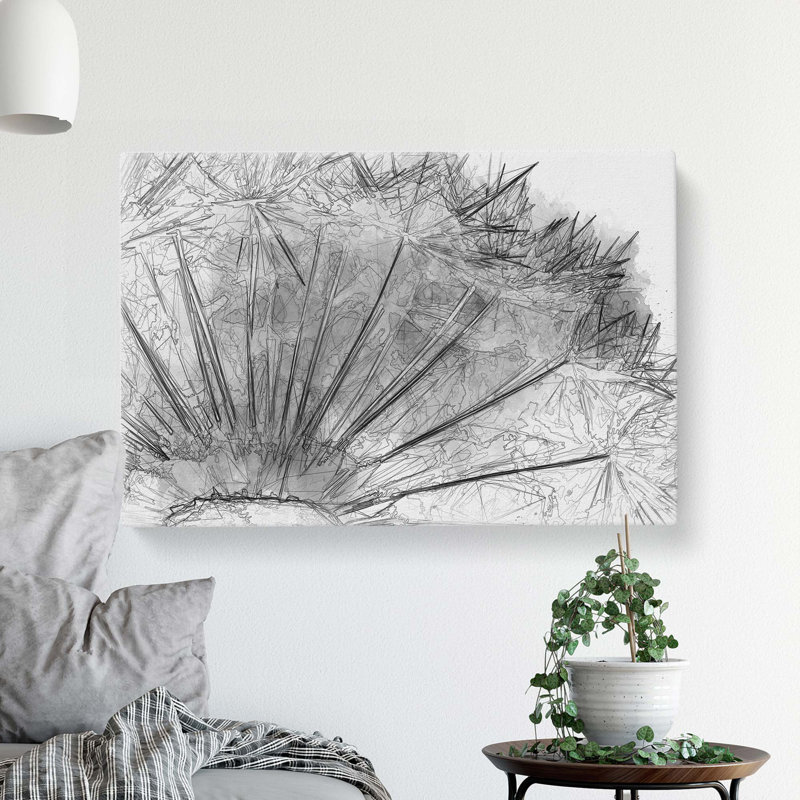 Dandelion Seed Sketch In Abstract - Wrapped Canvas Print, 35cm H x 50cm W x 3cm D