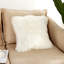 Cristopher Fluffy Faux Fur Cushion Cover-2107418728-2107587408