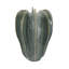 D8.9x12.8 "Sculptural Cactus Vase - Sauge vert