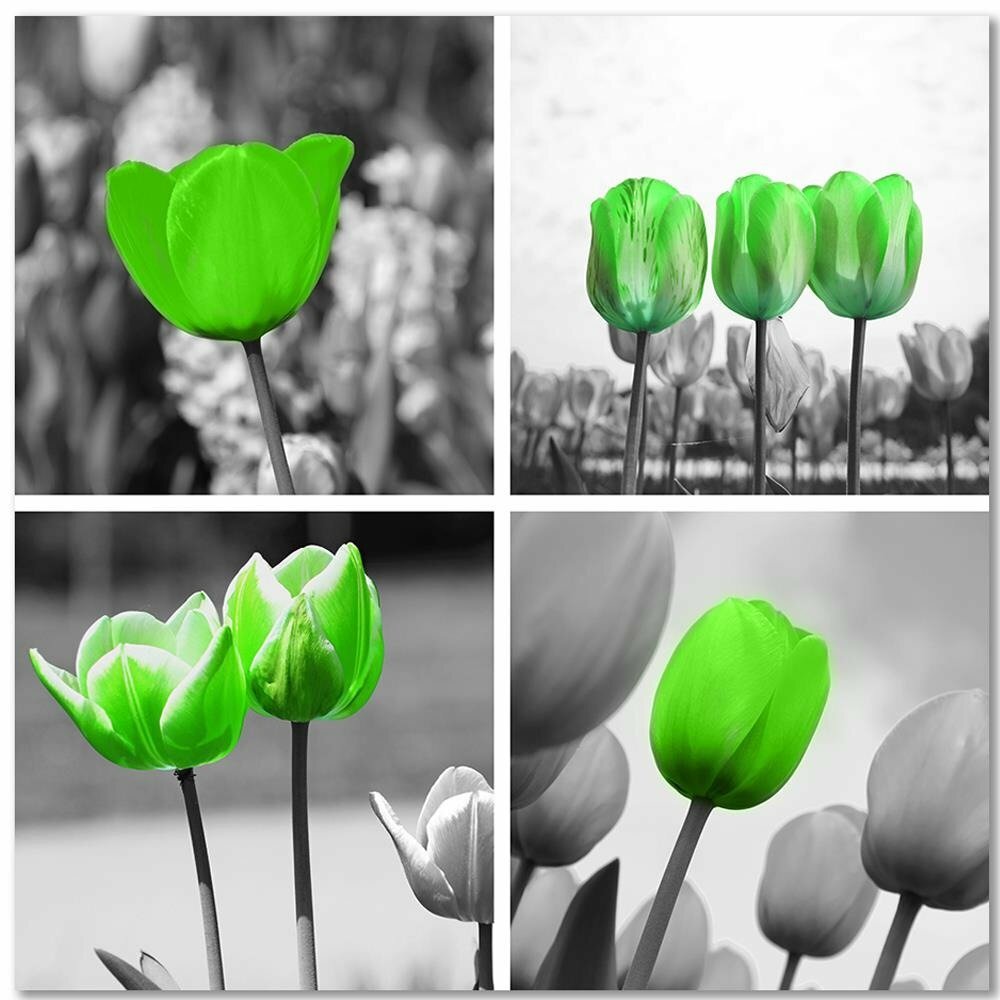 Leinwandbild Set of Green Poppies