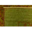Tapis rouge Delao