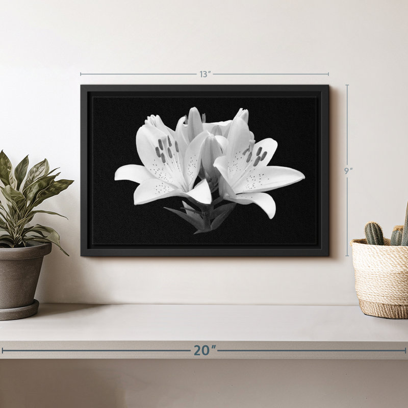 Impression sur toile monochrome Madonna Lily, H 9 po x l 13 po