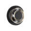 Stephord Outdoor Sconce-27123354