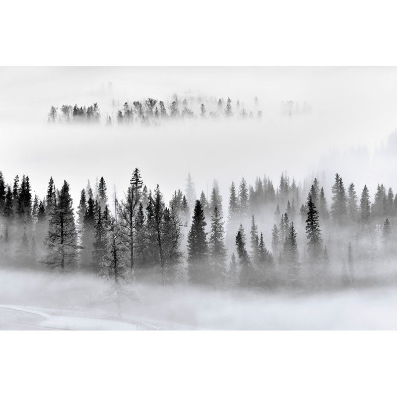Wadkins Xu - Foggy Forest - impression sur toile tendue, H 24 po x l 36 po