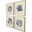 Indigo Sea Life Framed Art