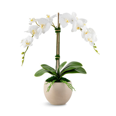 Arrangement Cassandra RealTouch Orchid