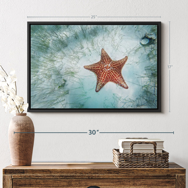 Shallows Starfish Canvas Print, 17" H x 25" W