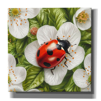 Epic Graffiti 'Ladybug Spring 1' by Momart Canvas Wall Art