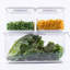 Food Storage Container