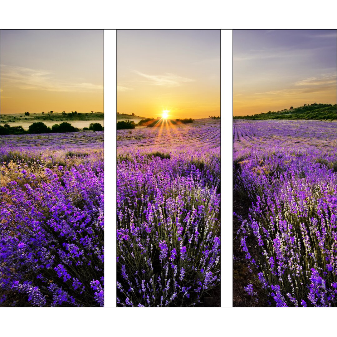 Glasbild Beautiful Lavender, Kunstdruck