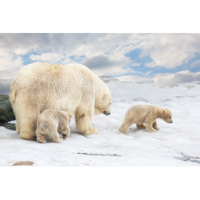 Ours polaire avec oursons