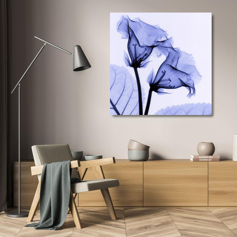 Gloxinia IMA-M835, 20'' H x 20'' W