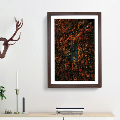 Forest Road in Austria - Framed Print
