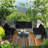 Finnbar 6 - Person Modular Patio Conversation Sets with Cushions-1070499669
