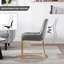 Aunna 49cm H Velvet Upholstered Metal Upholstered Back Cantilever Chair-35588227-11042582