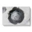 Circle over in Abstract - Wrapped Canvas-55313492