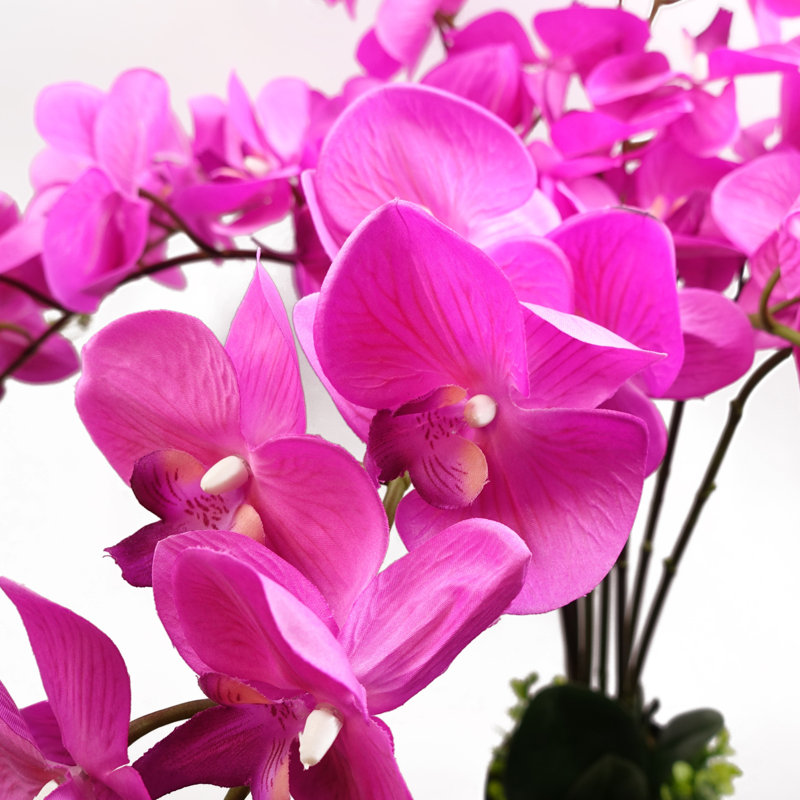 Plastic, Silk Orchid Arrangement in Pot