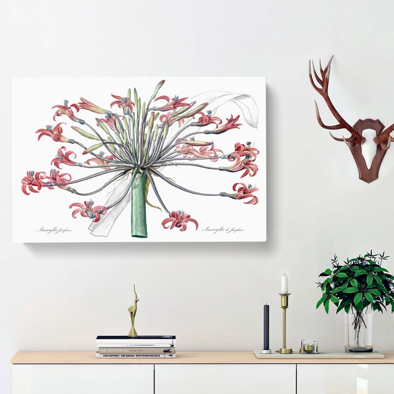 Amaryllis Josephine Flowers - Wrapped Canvas, 50cm H x 76cm W x 3cm D