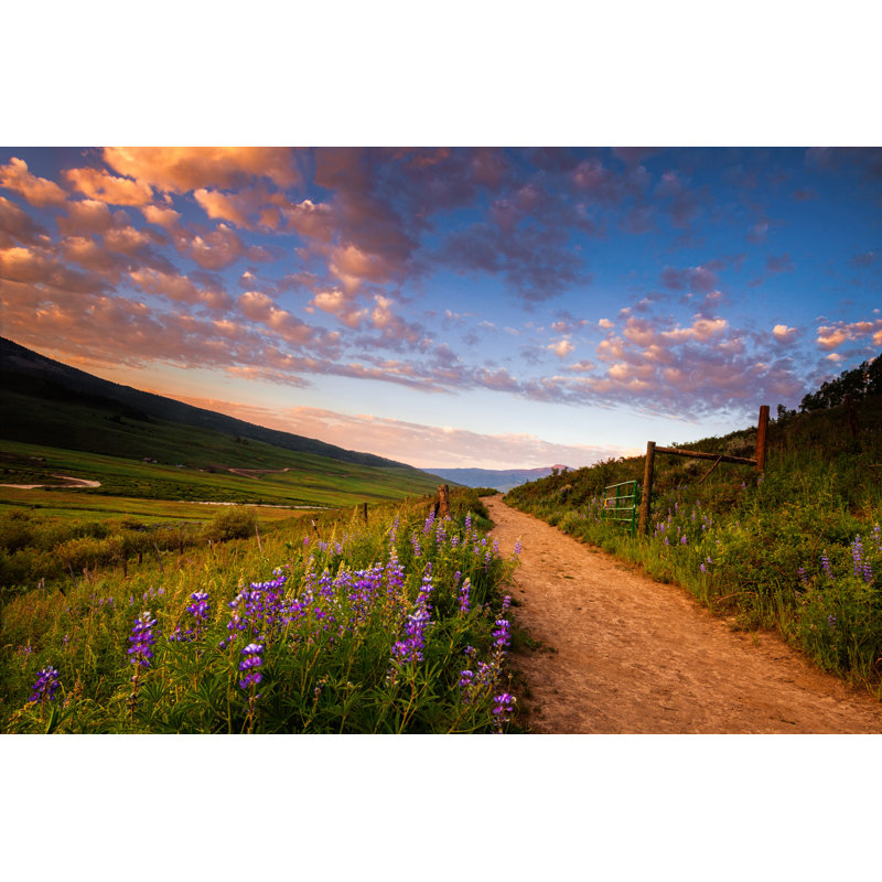 Fields of Lupines 1 Piece Wrapped Canvas Wall Art, 20cm H x 30cm W