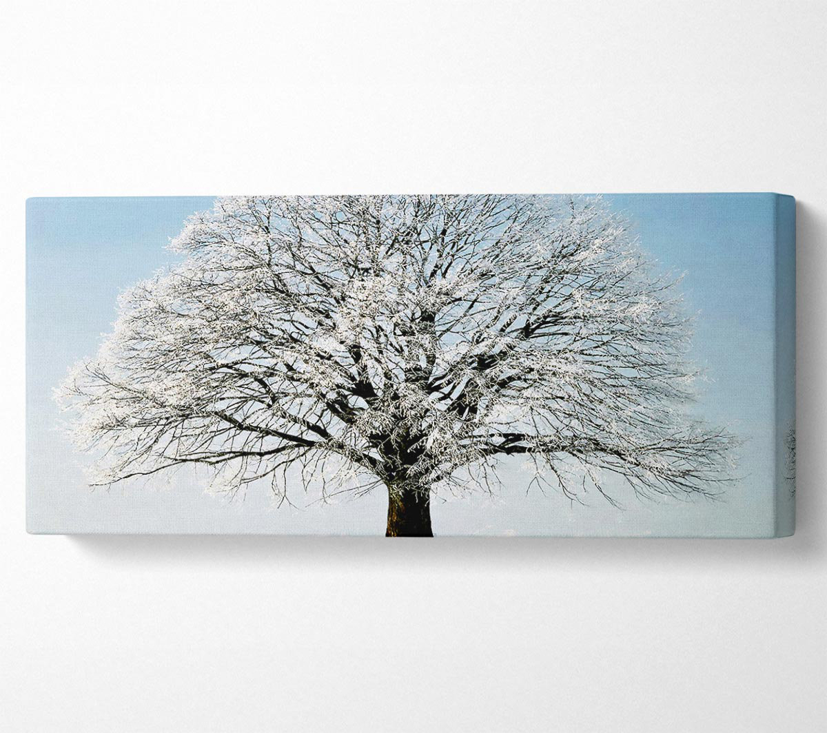 Ebern Designs Snow Tree - Wrapped Canvas Panoramic Art Prints | Wayfair ...