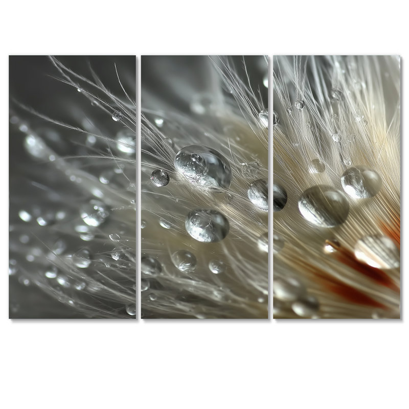«Winter Feather Water Droplets - Abstract Collages», ensemble d'art mural, H 40 po x l 60 po, Toile tendue, Ne s’applique pas