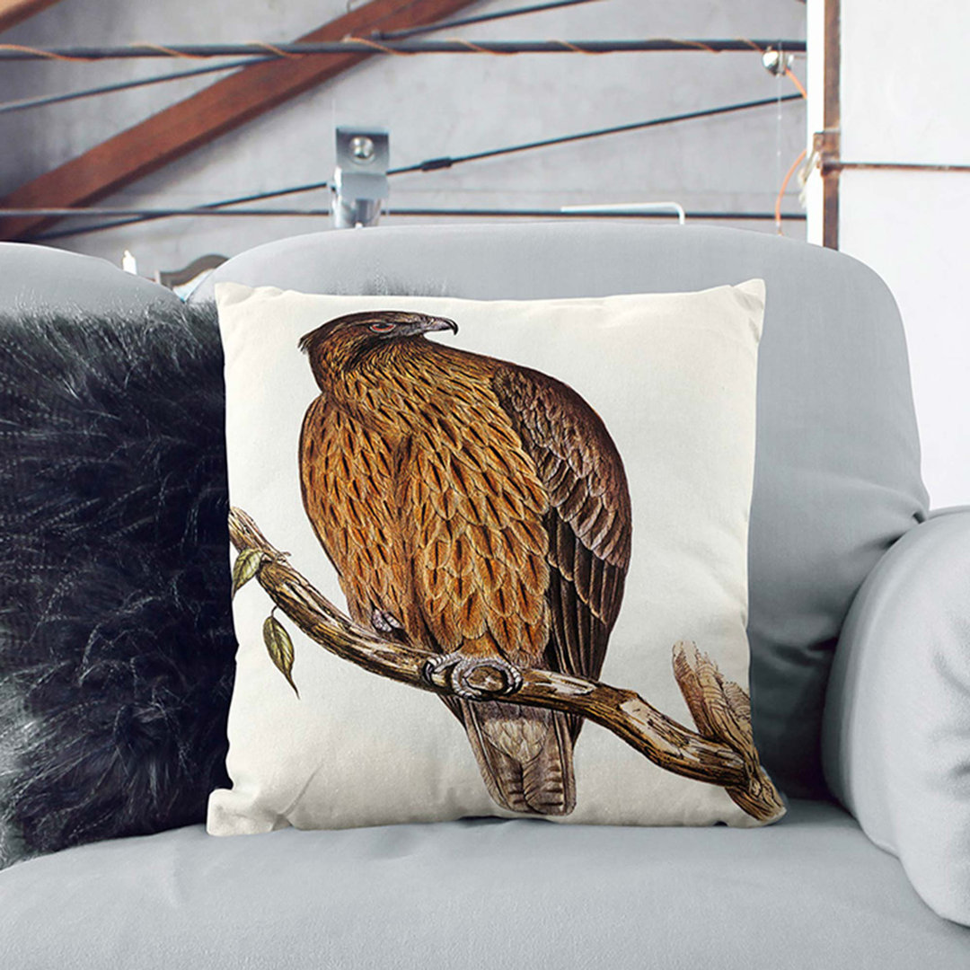 Little Australian Eagle by Elizabeth Gould Cushion with Filling