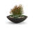 Oceanside Shallow Concrete Planter-714593645-714593640