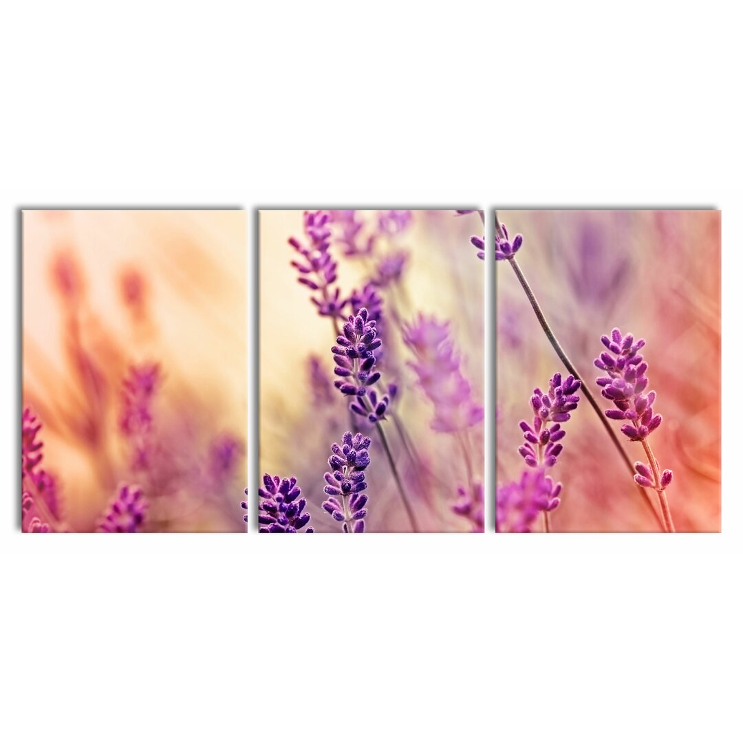 3-tlg. Leinwandbilder-Set Elegant Lavender