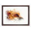 Profile of a Red Fox in Abstract - Framed Print-55768175-55768178