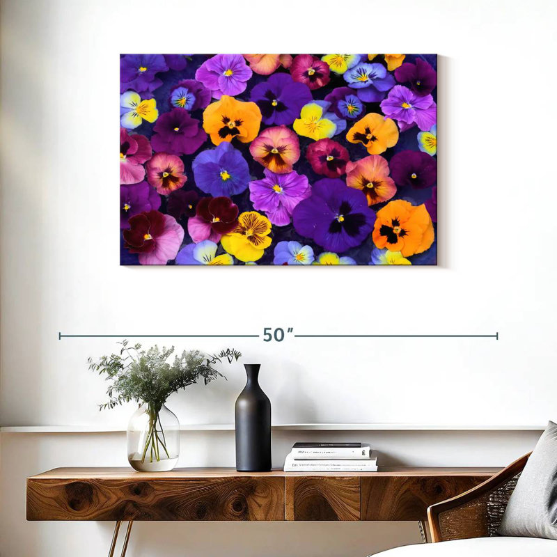 Couleurs Harnek Pansy, H 24 po x l 36 po