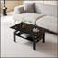 Table basse moderne en verre trempé à 2 couches, parfaite pour un décor de salon élégant et fonctionnel.