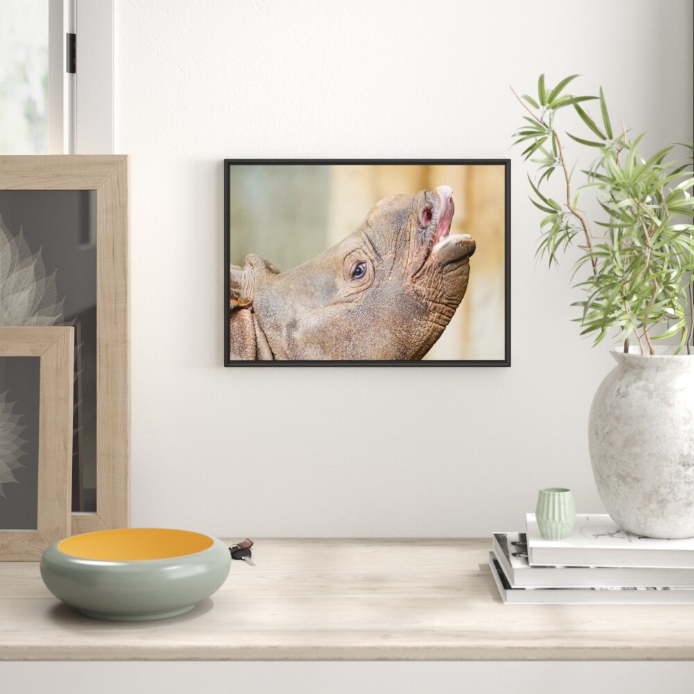 Gerahmtes Wandbild kleines Nashorn