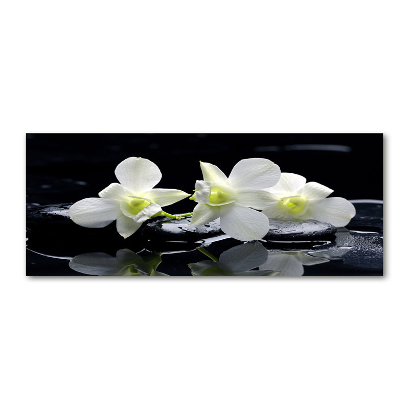 Orchid - Wrapped Canvas Print, 50cm H x 125cm W x 2cm D, Canvas