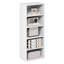 Basic 110.9cm H x 42.19cm W Standard Bookcase-117569296