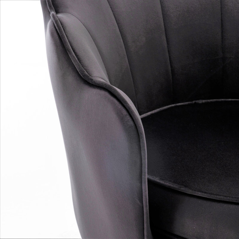 Elanora Velvet Barrel Chair, Black Velvet