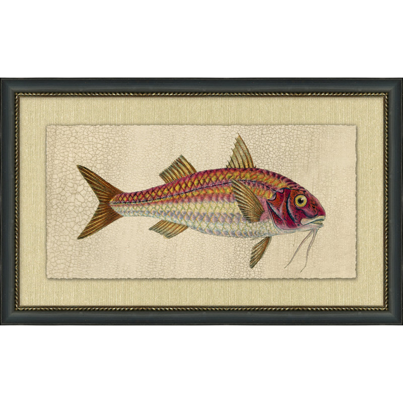 Fish Study 6 Painting