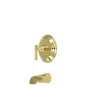 Polished Brass