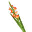 Silk Iris Arrangement-31151100-31151102