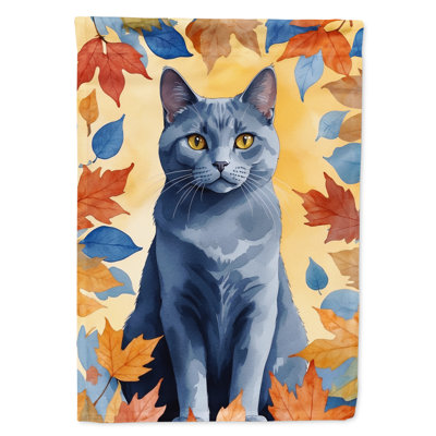 Chat en feuilles d'automne