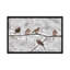 Mourning Dove Group in Winter, Nouvelle-Écosse, Canada II par Scott Leslie - reproduction de photo sur toile tendue-72569234-72569232-72569233