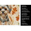 Serviette de cuisine tricolore Sheltie-2083471964