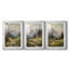 ANIMALS Series CCD - Impression encadrée sur mesure de qualité supérieure - 3 pièces-1639384154-1639384159