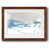 Érable