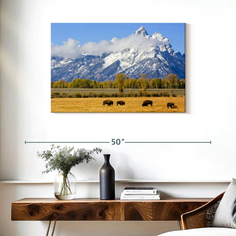 Bison d'Alvord dans les plaines de Teton, H 24 po x l 36 po