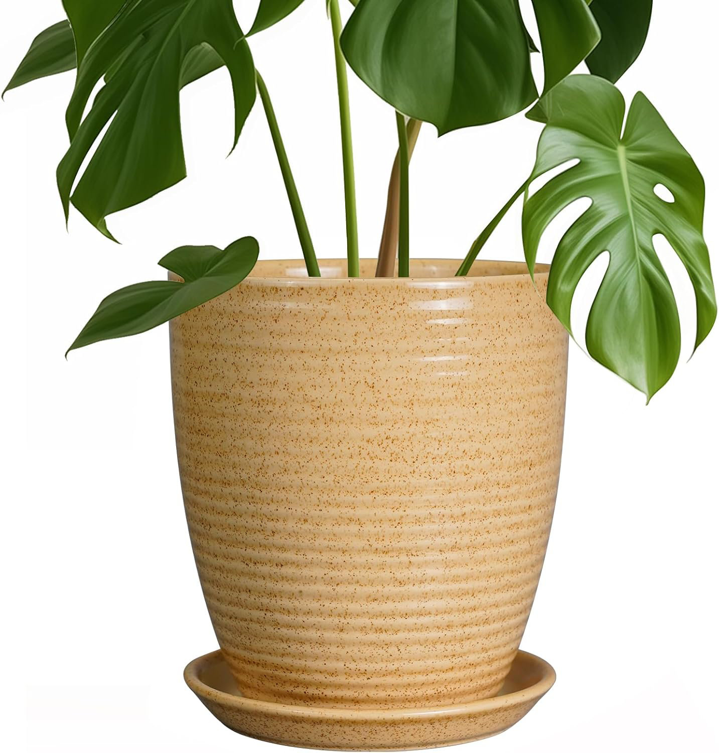 Ebern Designs 8-inch Ceramic Plant Pot With Drainage Hole & Saucer | Wayfair